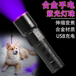 Lampe de poche rechargeable transfrontalière, éclairage à lumière <span class=keywords><strong>blanche</strong></span>, violet, détection de champignons, inspection des billets de banque - Product Image 2