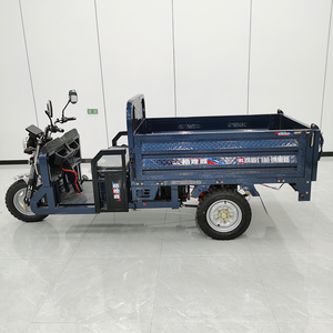 Triciclo de Carga de Tres Ruedas con Caja Abierta y Profunda, Motocicleta de Reparto para Adultos - Product Image 3