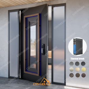 CosyHouse Porte d'entrée moderne en acier inoxydable avec verre miroir noir, porte de sécurité, taille personnalisée OEM ODM - Product Image 2