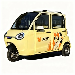 Tricycle électrique Falcon en acier allié 801-1000W 60V 70km/h 90km d'autonomie Carrosserie fermée 4 passagers Freins à disque avant/arrière EEC - Product Image 3