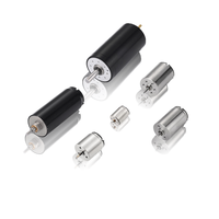 Moteur sans noyau DC à faible bruit et haute vitesse Faradyi pour machine à tatouer, longue durée de vie, 7mm, 10mm, 12mm, 13mm, 16mm, 17mm, 22mm, 3.7V, 12V, 24V