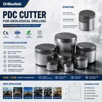 Forets PDC Drillsoltek 2026 pour forage géologique – Coupeurs compactes en diamant polycristallin de qualité supérieure