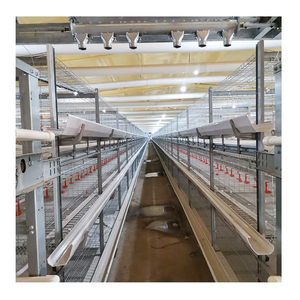ขายดี ลดราคา โรงเรือนเลี้ยงไก่แบบจุ่มสังกะสี ความจุ 128-160 ตัว ราคาถูก - Product Image 1