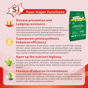Fertilizante de Silicio para Limonales, Fertilizante Químico, Planta de Producción, 25% de Silicio Disponible, Mejorador de la Estructura del Suelo - Product Image 4