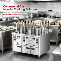 Cuiseur à nouilles au gaz commercial, cuiseur à pâtes 9 trous, machine de cuisson en acier inoxydable d'occasion