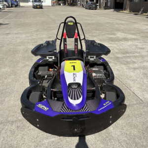 Factory <strong>Sales</strong> 4 Strokes Petrol <strong>Go</strong> <strong>Kart</strong> <strong>for</strong> Adult Professional <strong>Go</strong>-<strong>kart</strong> Manufacturer 200cc Commercial Drift Gasoline Karting Car - Product Image 1