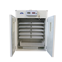 Incubateur automatique à œufs de volaille 880 œufs / Machine d'éclosion d'œufs