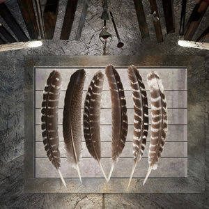 Offre Spéciale en gros <span class=keywords><strong>pas</strong></span> <span class=keywords><strong>cher</strong></span> sauvage barré queues de dinde aile plume plume pour l'artisanat de montage de mouches et <span class=keywords><strong>d</strong></span>écorations de coiffure indienne - Product Image 2