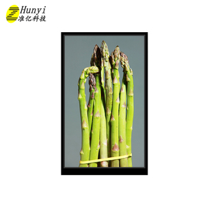 9 inch 800*1280 IPS Màn hình TFT LCD hiển thị mipi giao diện bình thường màu đen cho POS Máy tính xách tay iốt tiêu chuẩn 40 pin tùy biến - Product Image 2