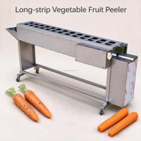 Machine à éplucher les fruits et légumes automatique, éplucheur industriel de carottes, de yams et de concombres