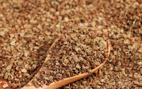 Buah Kering Mentah Cnidium Monnieri Berkualitas Tinggi, Biji Tanaman Herbal Cina, Herbal Ginjal Pria, Kesuburan Wanita