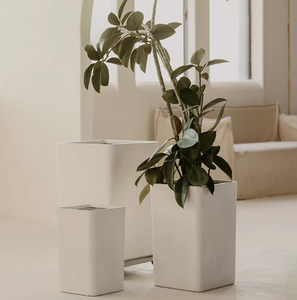 Vuông đơn giản cao sáng tạo loại sàn phòng khách cây xanh magiê nồi đất sét - Product Image 6