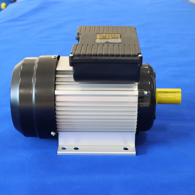 Yl Series 90L-2 1.5KW/2HP50/60Hz Ie2 Aluminum Housing China Manufacturer Ac Induction Electric Motors Asynchronous Motor