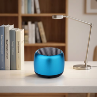 Mini enceintes avec volume élevé, mini canons en acier, équipement audio sans fil portable pour l'extérieur