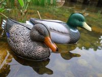 Moitié Flottant Blanc Corps Complet Mousse Shell Ture Soufflage Électrique Mouvement EVA Plastique Colvert Bois Canard Leurre Chasse à Vendre
