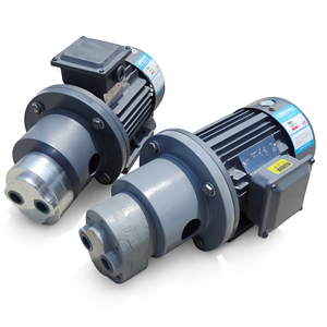 Unidad de Motor de Bomba de Engranajes WBZ de Hierro Fundido con Sistema de Lubricación de Aceite Mejorado para Máquinas Herramienta - Product Image 2
