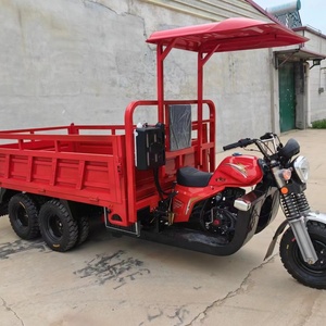 Fabricante Chino de Triciclos Tuk Tuk de Tres Ruedas, 200cc 300cc, de Gasolina, Triciclo de Carga, Motocicleta - Product Image 2