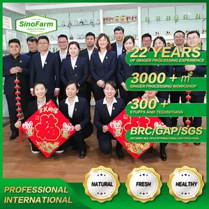2023 신선한 새로운 중국 도매 마늘 진공 껍질을 벗긴 마늘 대량 수입/수출 저렴한 가격