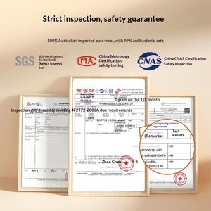 Matelas en laine, <span class=keywords><strong>couverture</strong></span> en laine d'agneau rembourrée, simple, hiver, épaissi, chaud, antibactérien, désodorisant, chauffage rapide - Product Image 5