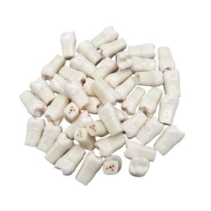 Зубной белый зубной манекен с пластиковой смолой Материал для студентов для практики миелотомии корневого канала - Product Image 1