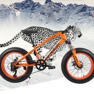 Vélo de montagne Beinaiyi 20 pouces avec pneus larges de 4,0 pouces, fourche à suspension, jantes en alliage d'aluminium, unisexe pour enfants - Product Image 3