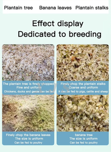 เครื่องบดต้นกล้วยไฟฟ้า เครื่องสับต้นกล้วย เครื่องบดก้านกล้วย เครื่องตัดก้านกล้วย - Product Image 6