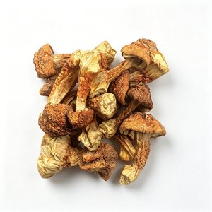 Extracto de Agaricus Blazei Murill en Polvo, Himematsutake <span class=keywords><strong>Royal</strong></span> Sun, Polisacáridos de Agaricus 30%, Beta Glucano Soluble en Agua, OEM - Product Image 2