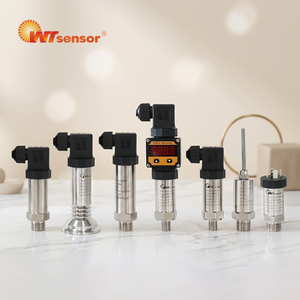 Transmetteur de pression SS316L - Plage de -100 kPa à 60 MPa pour stations de pompage industrielles et mesures de machines lourdes - Product Image 2