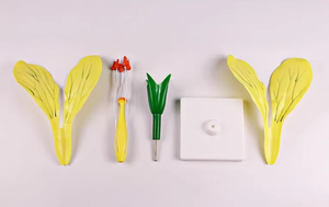 Outil d'enseignement de modèle anatomique de fleur de canola pour une utilisation médicale et scolaire - Product Image 3