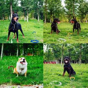 भारी शुल्क 15 फीट 30 फीट 30 फीट कुत्ते को टाई करते हुए केबल और हिस्सेदारी, बाहर यार्ड मध्यम बड़े कुत्तों के लिए लीश केबल श्रृंखला - Product Image 3