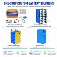 Fabricant de solutions de batteries au lithium personnalisées, pack de batteries Li-ion LiFePO4 12V-72V avec cellules de qualité supérieure, BMS et conception de connecteurs