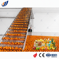 Complete sap productielijn met fruitverwerking, afvulling en verpakking; turnkey project voor saplijnen
