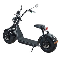 Gros pneu Scooter électrique 1000w transport longue Distance conception de sécurité ergonomique batterie 36V