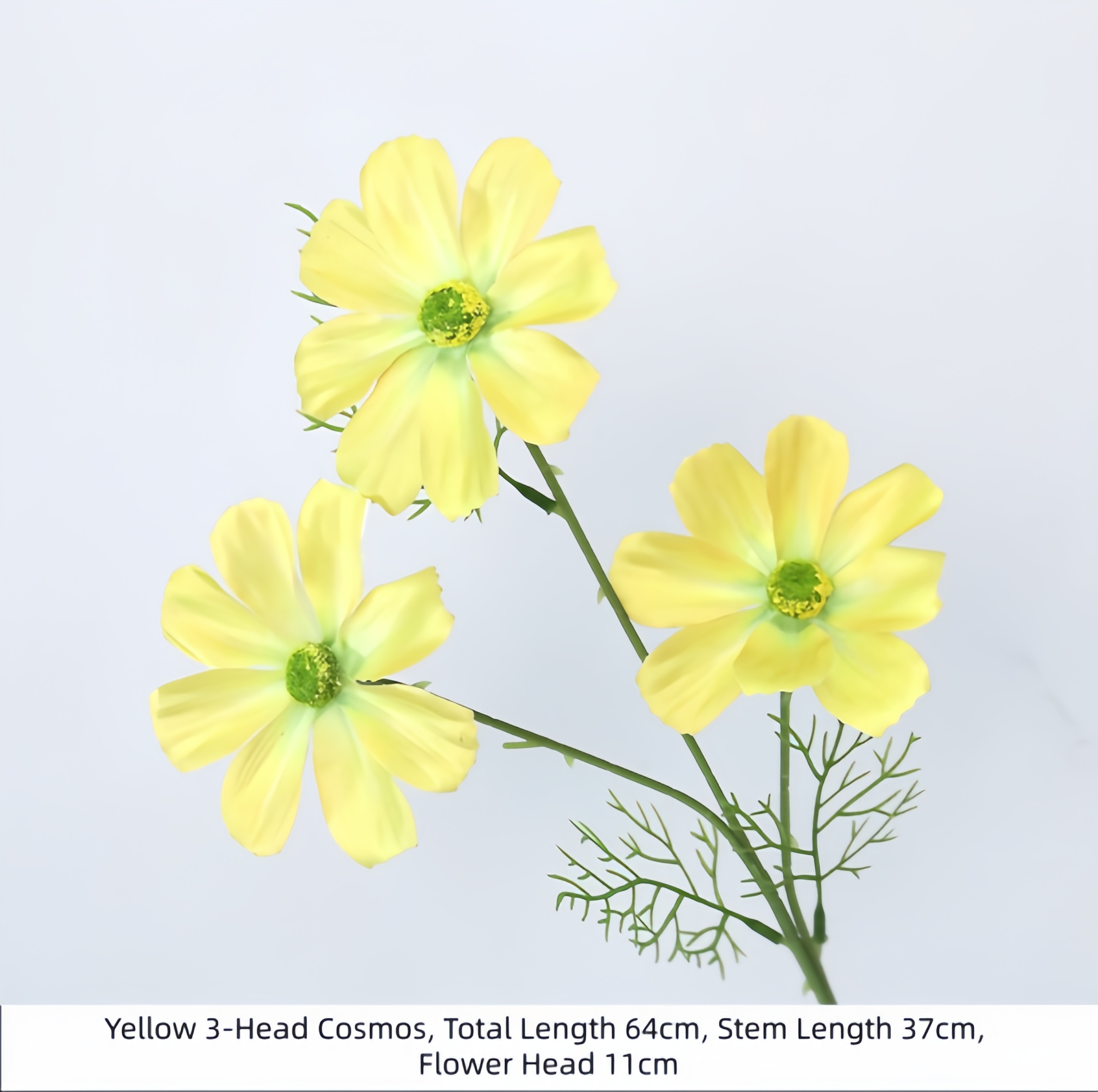 Yellow 3-Head Cosmos