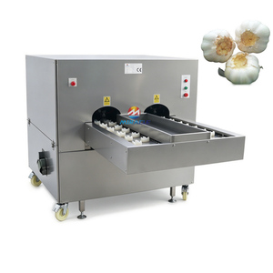 Máquina Cortadora de Raíces de Ajo Seco Industrial, Cortadora de Raíces de Ajo Fresco y Seco para Rebanadas de Ajo Deshidratado - Product Image 6