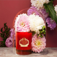 Pot en verre rouge de noël, diffuseur de bougie parfumé avec couvercle en métal, 50 pièces, boîte de luxe décorative personnalisée, pour noël