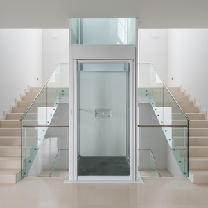 इनडोर/आउटडोर 2-4 फर्श के लिए स्वचालित दरवाजा सस्ता लिफ्ट - Product Image 4