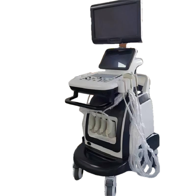Portable Ultrasonic Diagnostic Devices Cardiac Vascular Color Doppler Echo Ultrasound Machine