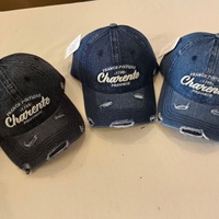 Gorra de Béisbol de 6 Paneles de Mezclilla Lavada con PVC, a la Moda, con Bordado, Unisex, para Verano, Combinable con Todo