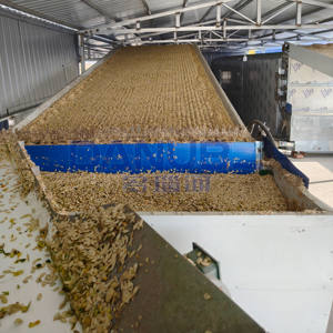 เครื่องอบแห้งแบบสายพานตาข่ายสำหรับธัญพืช ได้รับการรับรองคุณภาพ สำหรับข้าว ข้าวสาลี ข้าวฟ่าง ถั่วเหลือง พร้อมอุปกรณ์ทำความสะอาดและอบแห้ง - Product Image 2