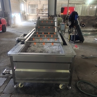 Hoogrenderende Industriële Automatische Bubbelwasmachine Voor Mango Groentewasmachine Met Grote Capaciteit Voor Avocado-Ananas Papaja-Fruit
