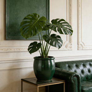 Pot de fleurs en céramique, finition brillante, vert forêt, texture côtelée horizontale fine, écologique, durable, pour intérieur, extérieur, jardin, patio - Product Image 3