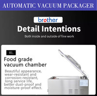 VM260A/C Mini machine d'emballage sous vide de bureau pour aliments riz viande poisson