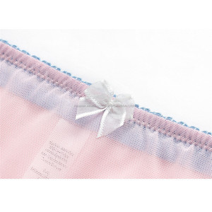 Nueva llegada Sexy ver a través <span class=keywords><strong>de</strong></span> encaje bragas <span class=keywords><strong>de</strong></span> bragas, ropa interior <span class=keywords><strong>de</strong></span> <span class=keywords><strong>mujer</strong></span> chica breve con azul Color rosa Negro S M L XL 2XL - Product Image 2