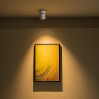 Spot de plafond LED d'intérieur moderne 12W Dimmable Warm 3000K CRI 97 + 360 ° Pivotant Spot E27 Montage en surface pour