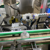 Machine de capsulage de remplissage de liquide de parfum à pompe unique diffuseur de roseau faisant la machine avec fonction d'étiquetage
