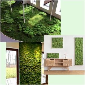 Vente en gros de <span class=keywords><strong>fleurs</strong></span> et de plantes préservées, art mural en <span class=keywords><strong>mousse</strong></span> véritable naturelle, renne stabilisé vert, mur de <span class=keywords><strong>mousse</strong></span> préservé pour la décoration - Product Image 6