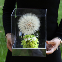 Boîte cadeau carrée en acrylique avec pissenlit géant préservé fait main, décorations pour la maison, fleurs d'hortensia et de gypsophile préservées à jamais