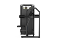 Équipement commercial LZX-V1005 de forme physique de gymnase avec le paquet et les accessoires de boxe à vendre