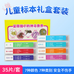 สไลด์ชีววิทยา, ตัวอย่างวัตถุ, การเผยแพร่ความรู้วิทยาศาสตร์สำหรับนักเรียน, ภาพประกอบที่คมชัด, การย้อมสี, อุปกรณ์เสริมกล้องจุลทรรศน์ที่ดี, 7 ชิ้น - Product Image 4